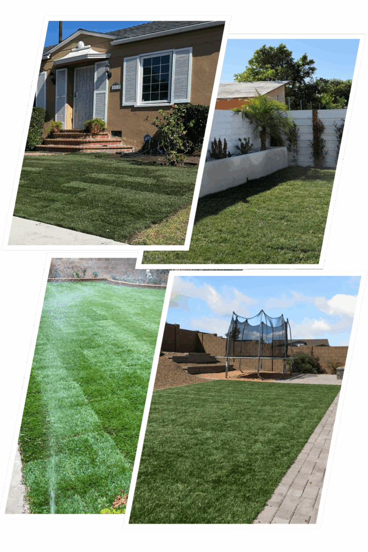 Collage of lawns with fresh green grass.